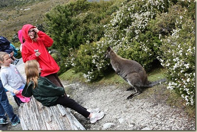 Laura and Lucy with Bennetts wallaby at Cradle Mt