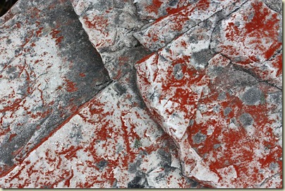 Lichen-covered rock, hike to Marions Lookout, Cradle Mountain NP, Tasmania