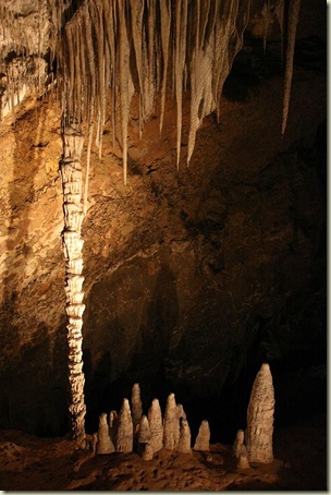 Marakoopa Cave, Mole Creek, Tasmania