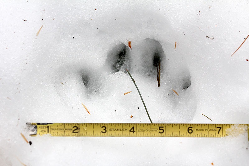 [101225_footprint1[2].jpg]