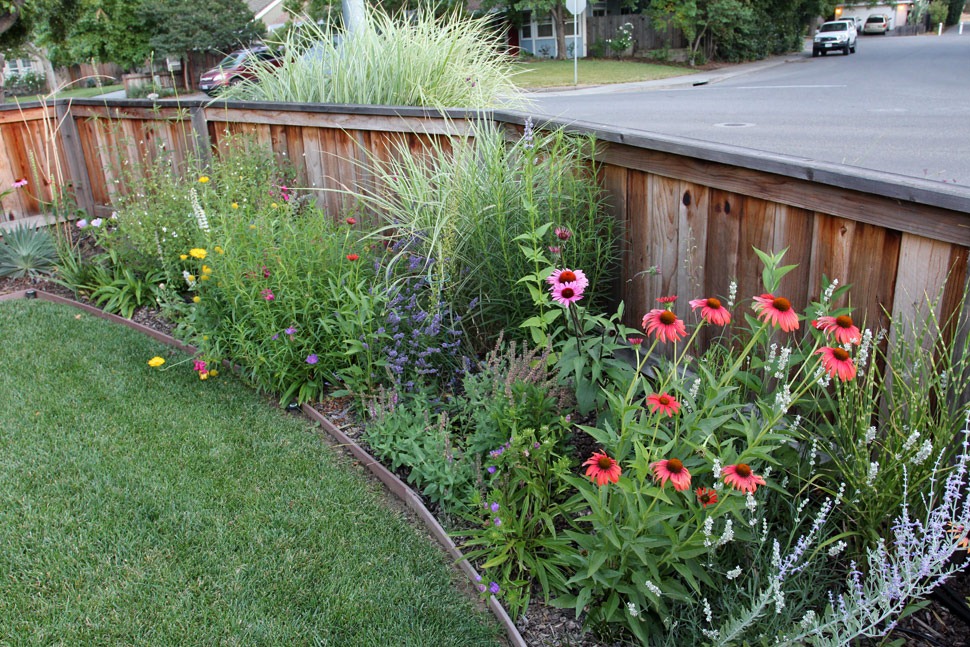 [100703_front_yard2[2].jpg]