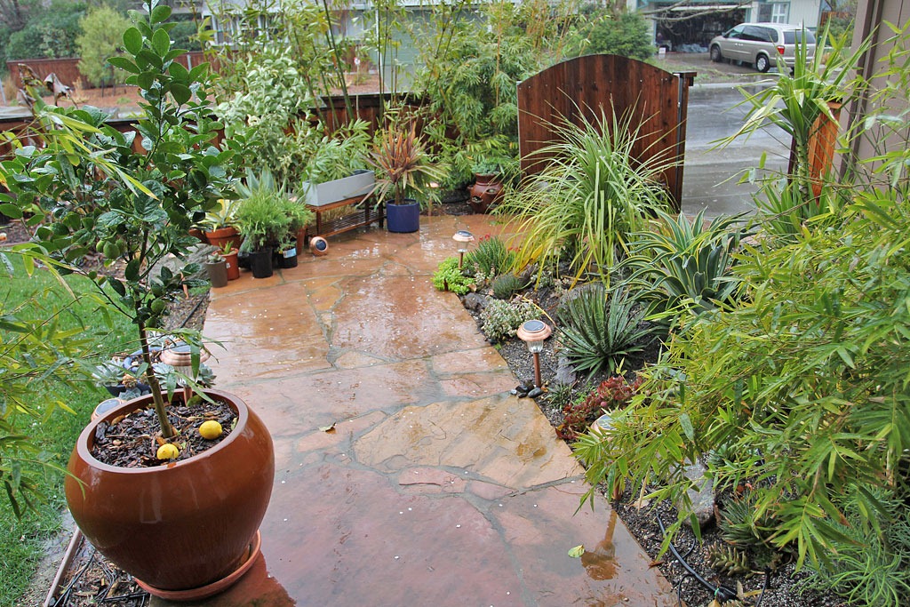 [110217_rain_front_yard[2].jpg]