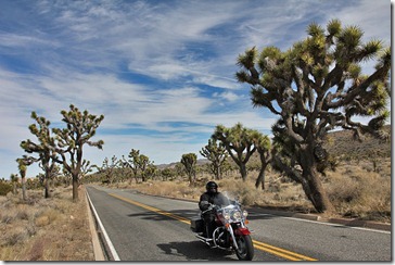 110221_joshua_tree_np_motorcycle_rider 110221_joshua_tree_np_motorcycle_rider