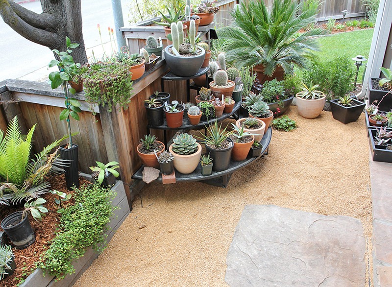 [110421_tropicalbedwalkway_after3[2].jpg]