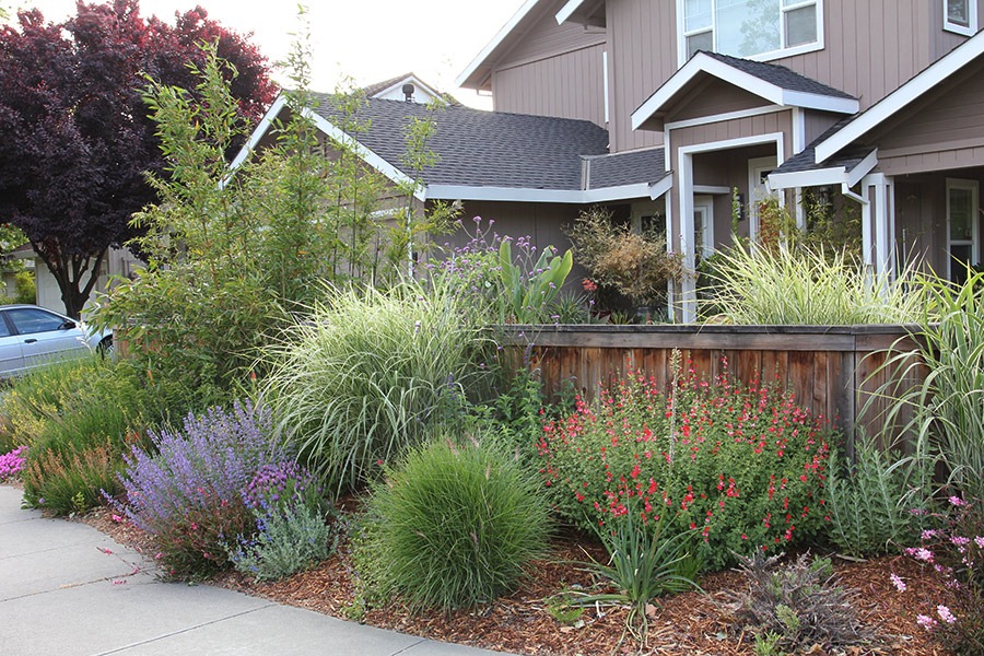 [110511_front_outside_fence1[10].jpg]