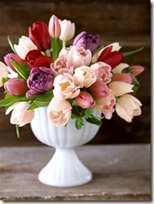 tulips better homes and gardens