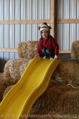 [pumpkinpatch0216.jpg]