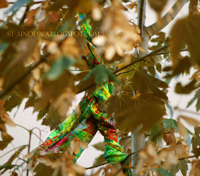 a tree with a scarf