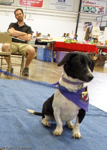 [Pawsfest-3676[2].jpg]