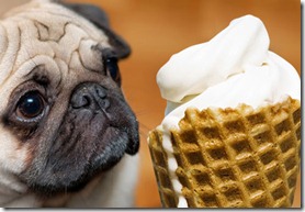 sorvete pra cachorro