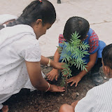 Planting seedlings of knowledge! Planting seedlings of knowledge!