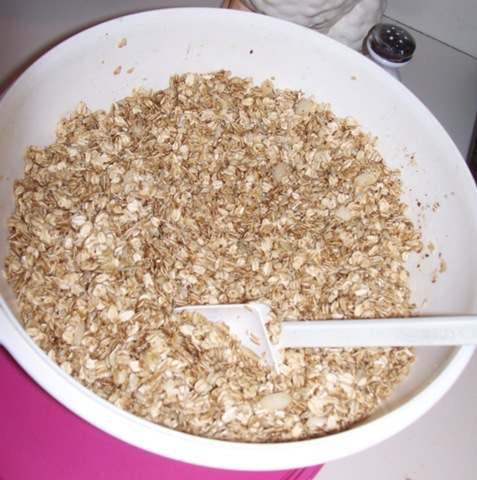 [oats, nuts and sticky ingredients.jpg]