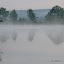 Azy-sur-Marne, River Marne - morning mist on the river