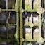 Beziers, Canal du Midi - Fonserannes lock gate