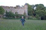 Cahir Castle Grounds