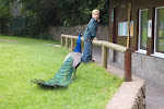 Fota, an island animal preserve in Southern Ireland