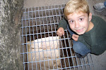 Alex pretending to pour hot oil down the murder hole at Blarney Castle