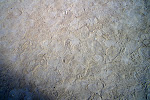 CIMG5672.JPG