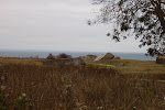 CIMG6112.JPG