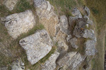 CIMG6082.JPG