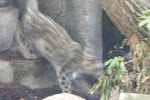CIMG6252.JPG