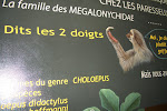 CIMG6291.JPG
