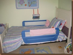 IMG_6591 IMG_6591