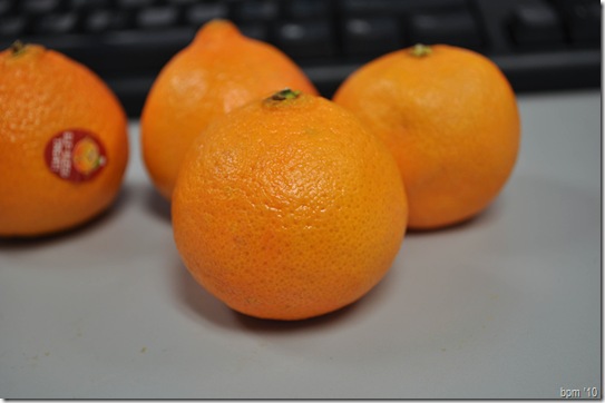 DSC_0111 DSC_0111