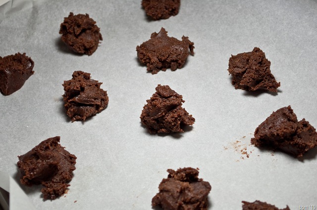 [chocolate cookies-1[2].jpg]