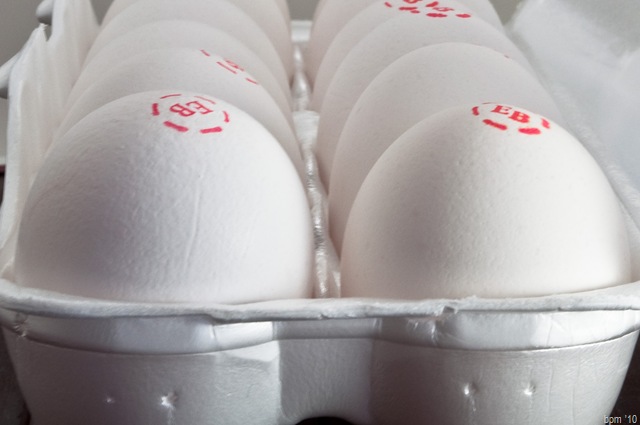 [eggs-4[2].jpg]