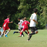 BCU086.jpg