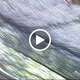 S3600074.AVI