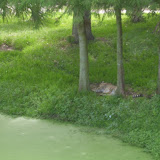 S3600022.JPG