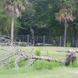 S3600024.JPG