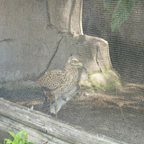 S3600032.JPG