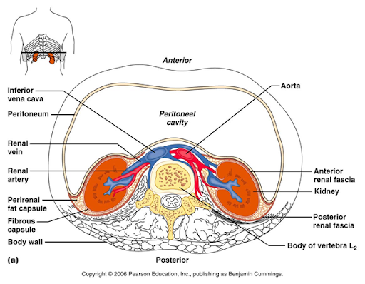 Ct+scanner+diagram