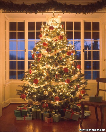 [perfect tree[2].jpg]