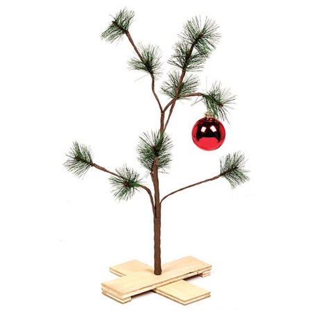 [charlie brown[3].jpg]