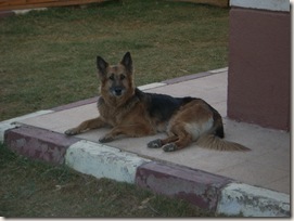 Rita waiting
