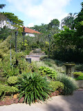 Shot of the Orchid Garden
