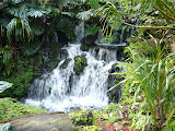 Water at the Orchid Garden