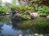 Garden at a temple