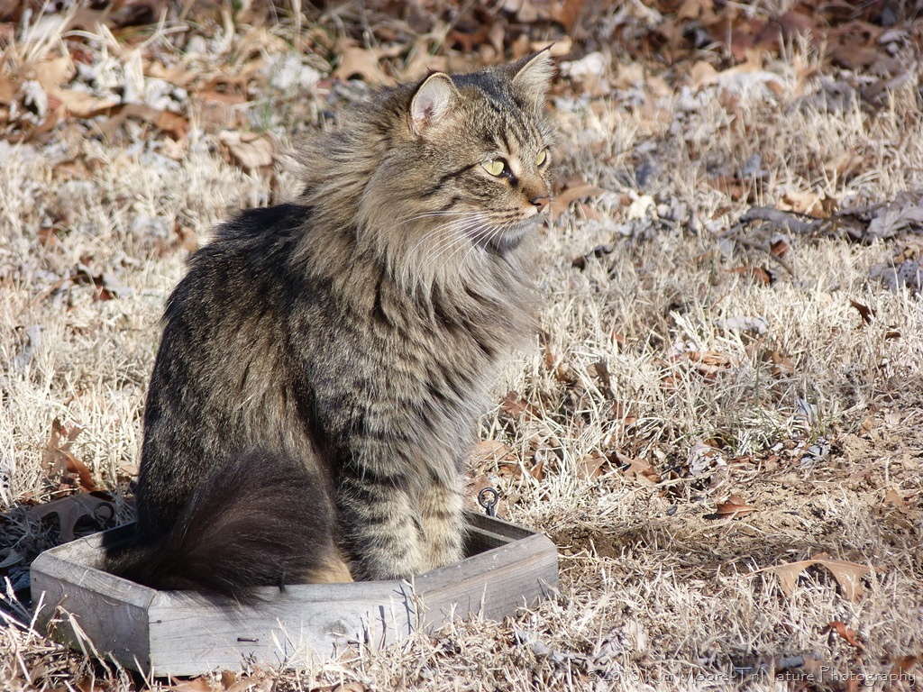 [P1020014[11].jpg]