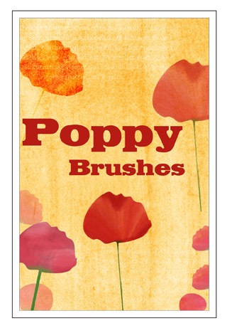 [Poppy brushes[2].jpg]