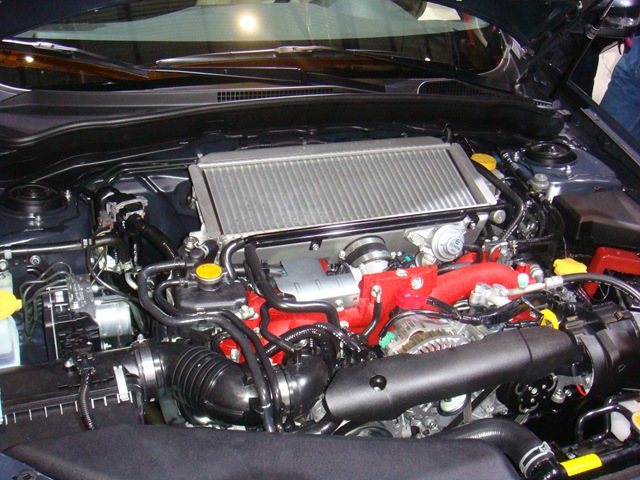 [DSC02397[3].jpg]
