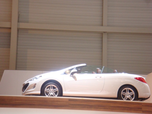 [DSC025243.jpg]