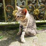 2010-06-16 Bali