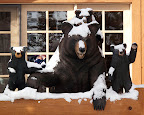Traveling With Tiger Slideshow