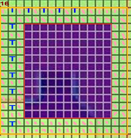 [turnip field[9].png]