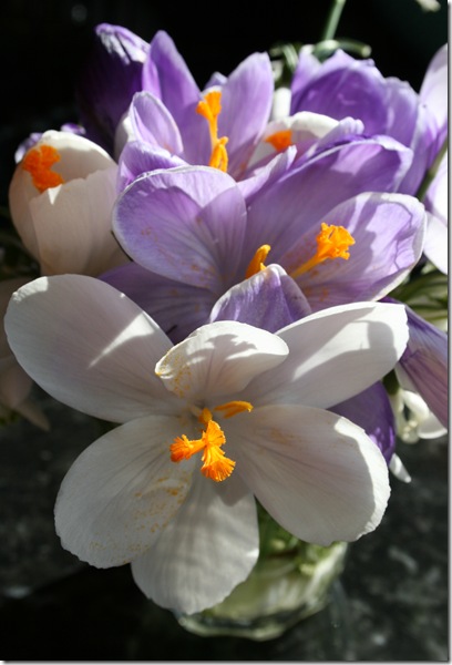 Bilde 076